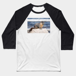 The Marmot Mentor Baseball T-Shirt